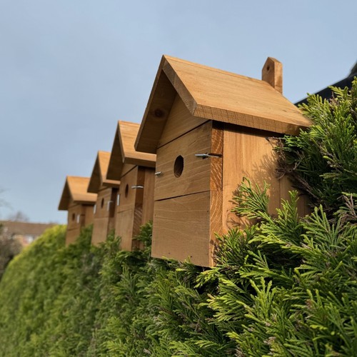 Large wooden multi - multi-hole, bird