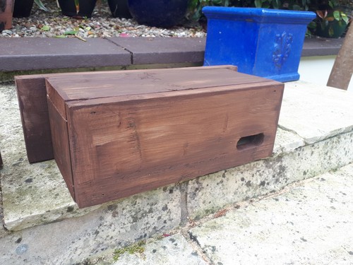 Swift nest boxes - swift,