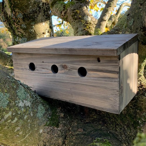 Sparrow nest bird box - nest,