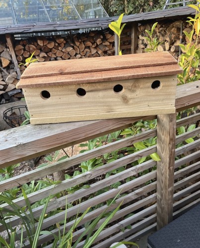 Sparrow nest bird box - nest,