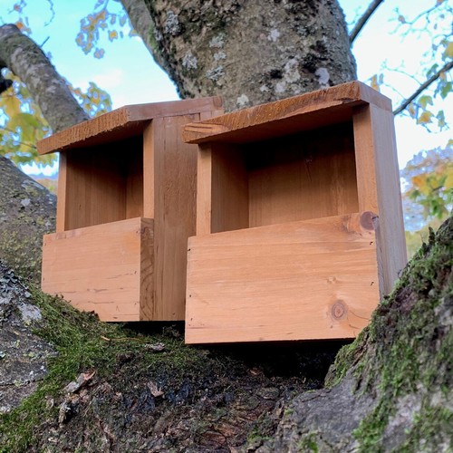 Wildlife wooden bird house - wooden,