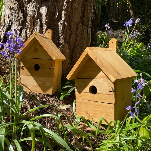 Large wooden multi hole - multi-hole, bird