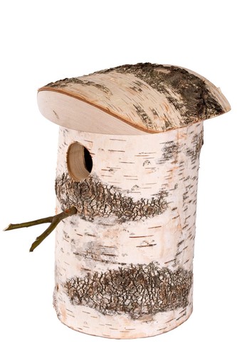 Silver birch nest box - ,, fsc