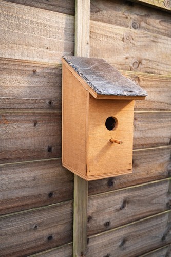 Wooden bird box 32mm - bird, box,
