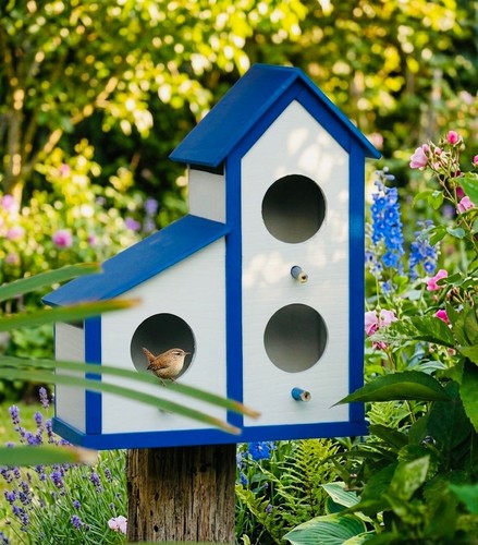 Premium bird house - premium,