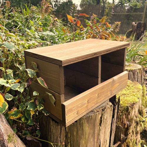 Wooden pigeons nesting - pigeons, box