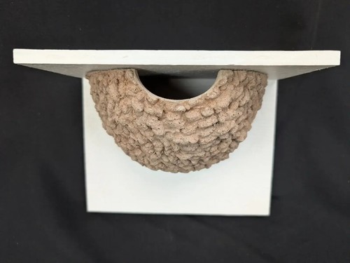 Nest cup box - nest,