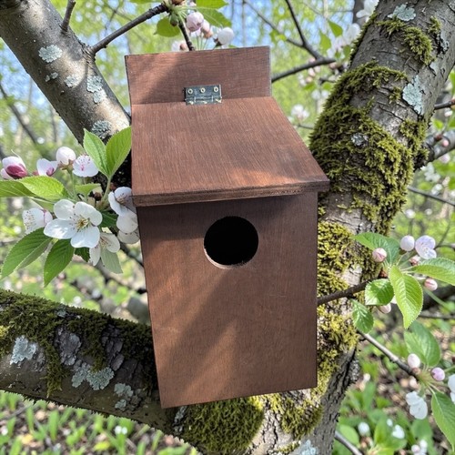 Nest box for - for, they