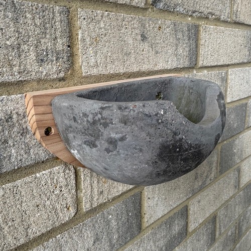 House martin nest - house, box