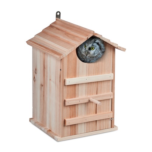 Owls nesting box owl birdhouse