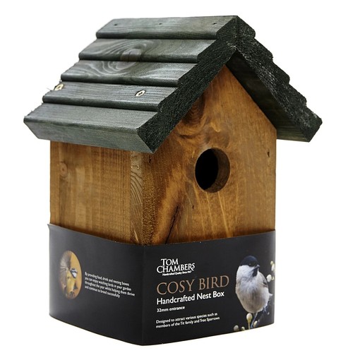 Wild bird nesting - wild,