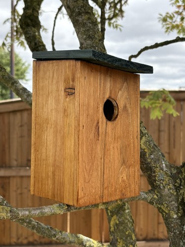 Wooden nesting box nest - box,