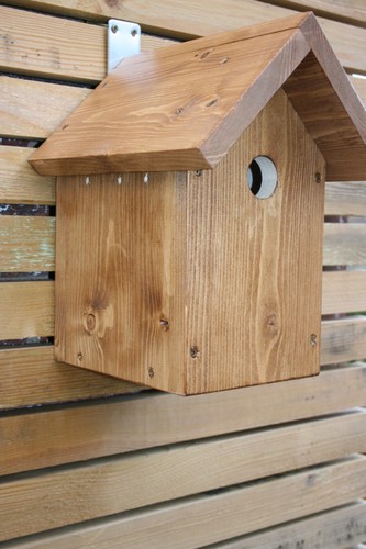 Nest box bird - nest, box/