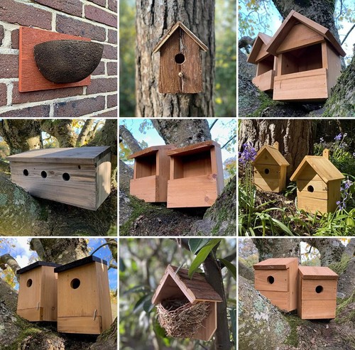 Bird nest box wood wooden - bird,