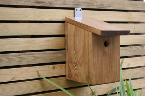 Nest box bird - nest, for