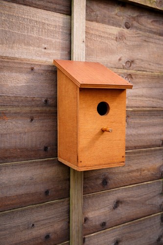 Wooden bird nest - wooden,