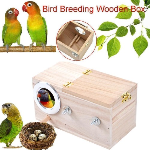 Bird breeding box cage - bird,