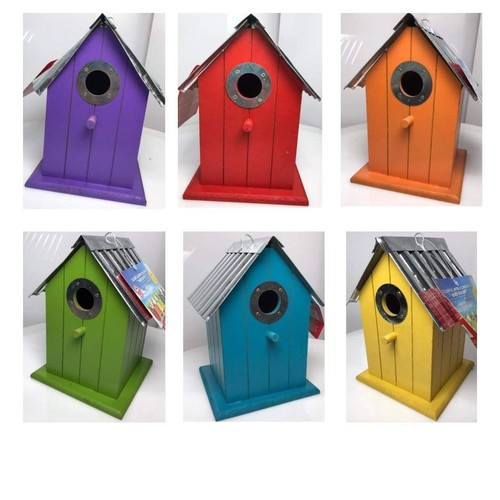 Wild bird nest - wild,