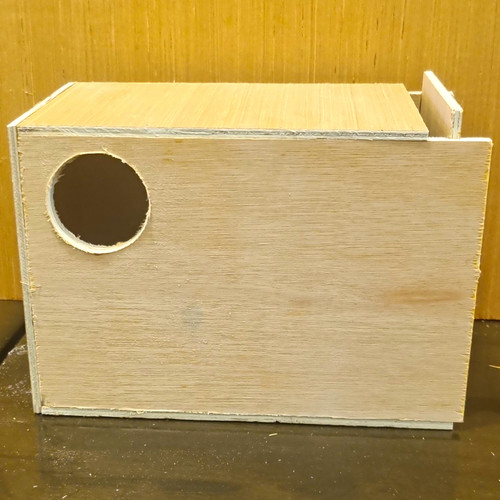 Budgie nest box - nest,
