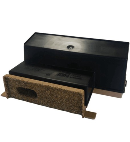 Swift bird nesting - swift,