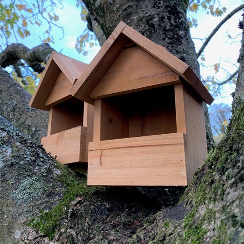 Large wooden robin bird house - robin,