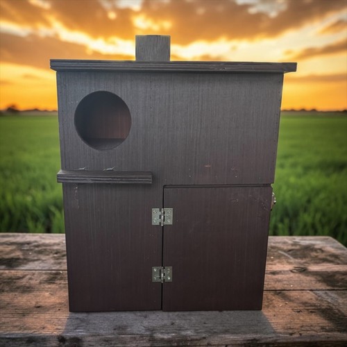 Little owl nest box safe - little,