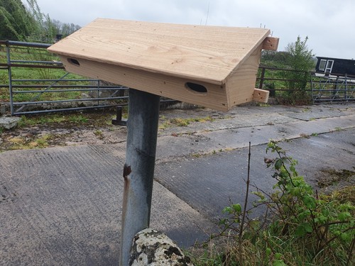 Double swift nesting box - double,