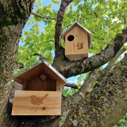 Squirrel nest box and - nest,