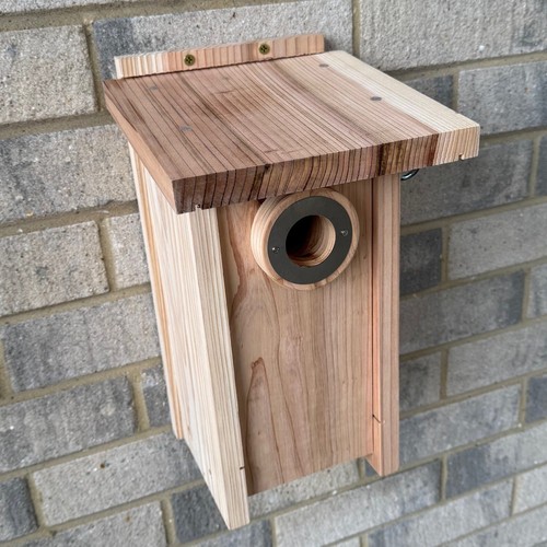 Wooden bird house - house, for