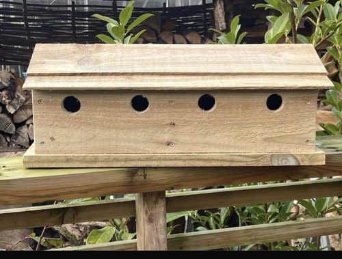 Sparrow nest bird box wooden - sparrow,