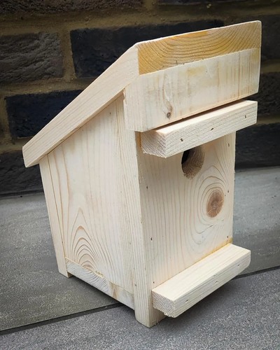 Hazel dormouse nest box - hazel,