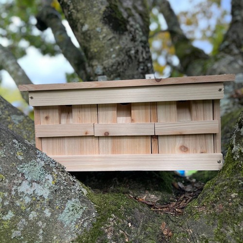 Sparrow nest box - box, house