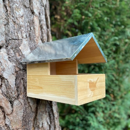 Blackbird wooden nesting box - wooden,