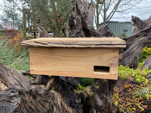 Handmade swift box - box, nesting