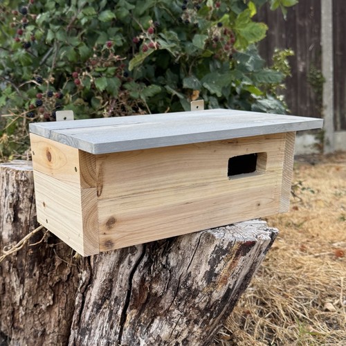 Wildlife wooden bird - wooden,