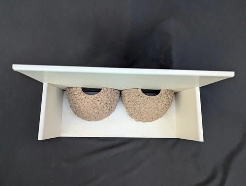 Double house martin nest - house,