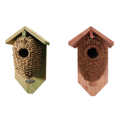 Wren bird nest - wren,