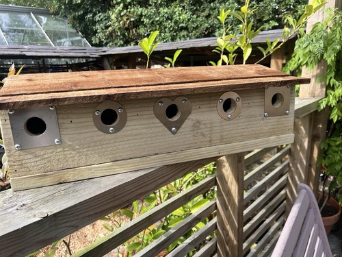 Sparrow nest box house colony - nest,