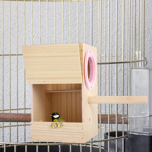 Khaki wood bird - khaki, nest