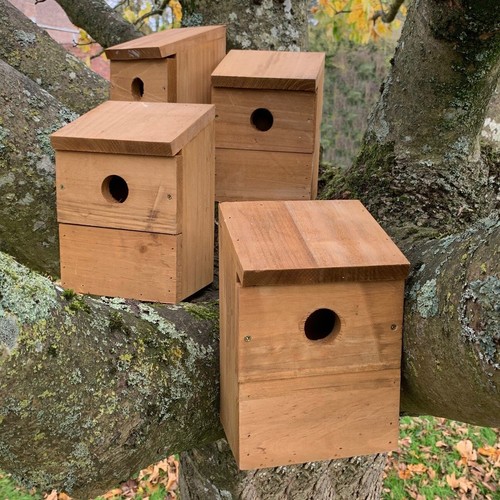 Wooden multi hole wild - wild, bird