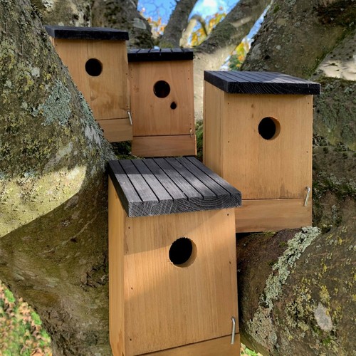 Wooden birdhouse box nesters - wooden,