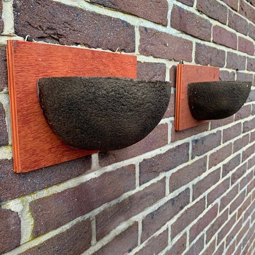Swallow nest box - nest,