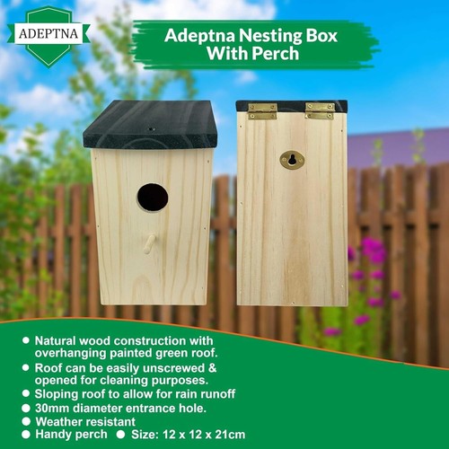 Wooden wild bird - wild,
