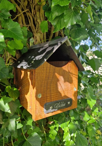 The ffaldau solid oak - ffaldau, robin/