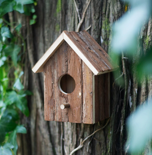Starling sparrow bird house - starling,