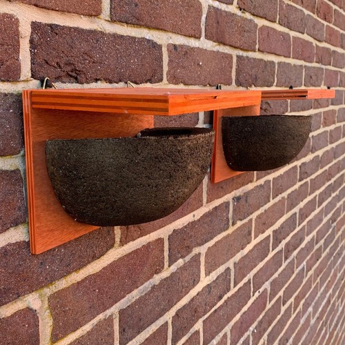 House martin bird - house,