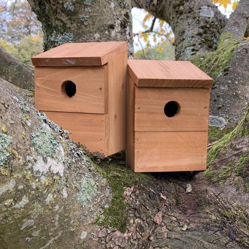 Wooden multi hole wild - wooden, multi-hole