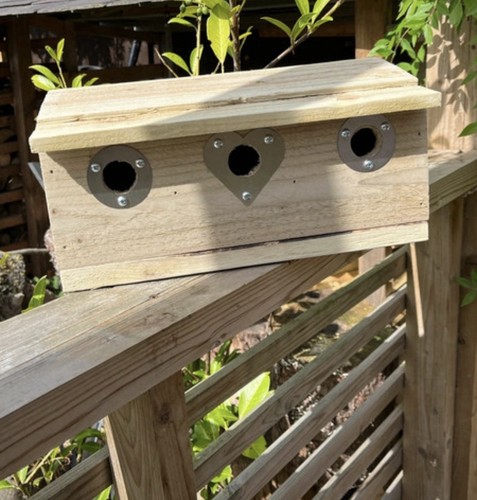Sparrow nest bird box wooden - sparrow,